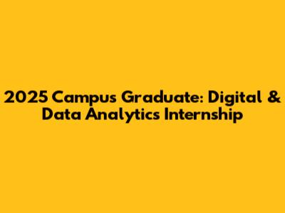 2025 Campus Graduate: Digital & Data Analytics Internship