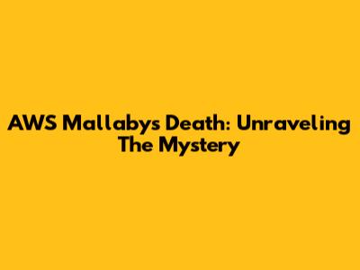 AWS Mallaby's Death: Unraveling The Mystery