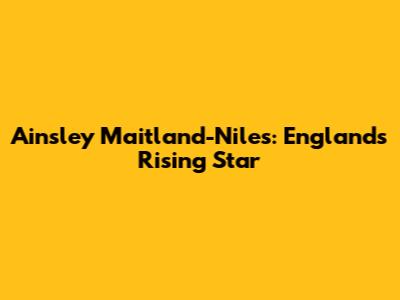 Ainsley Maitland-Niles: England's Rising Star