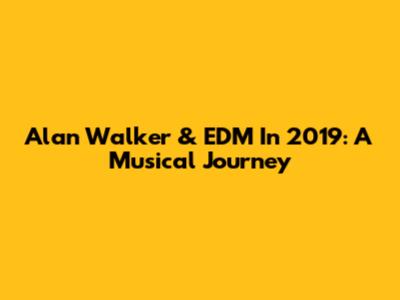 Alan Walker & EDM In 2019: A Musical Journey