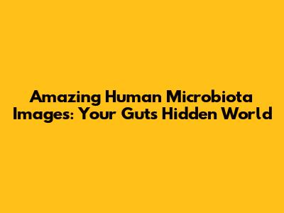 Amazing Human Microbiota Images: Your Gut's Hidden World