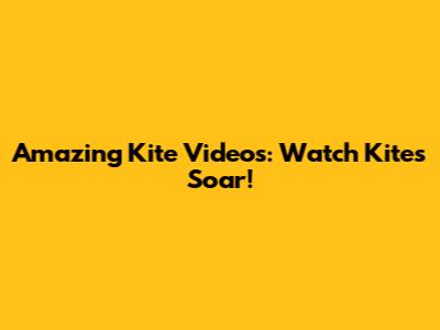Amazing Kite Videos: Watch Kites Soar!