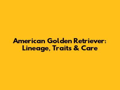 American Golden Retriever: Lineage, Traits & Care