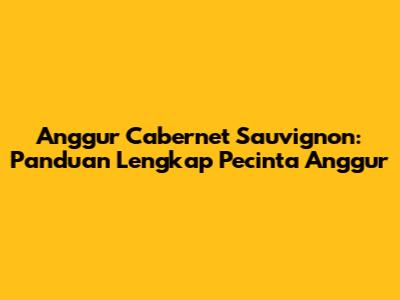 Anggur Cabernet Sauvignon: Panduan Lengkap Pecinta Anggur