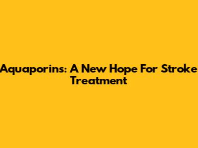 Aquaporins: A New Hope For Stroke Treatment