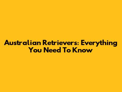 Australian Retrievers: Everything You Need To Know