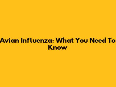 Avian Influenza: What You Need To Know
