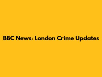 BBC News: London Crime Updates