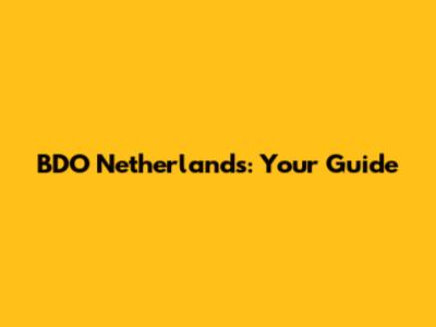 BDO Netherlands: Your Guide