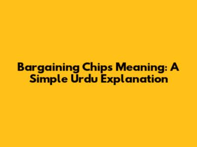 Bargaining Chips Meaning: A Simple Urdu Explanation