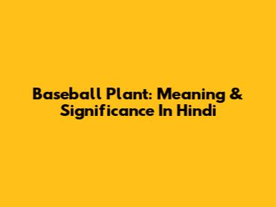 Baseball Plant: Meaning & Significance In Hindi