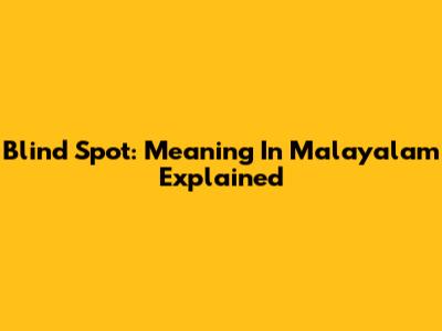 Blind Spot: Meaning In Malayalam Explained