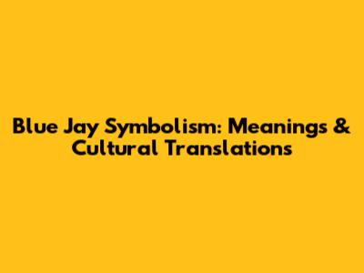 Blue Jay Symbolism: Meanings & Cultural Translations