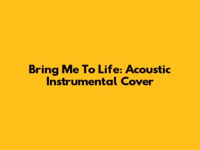Bring Me To Life: Acoustic Instrumental Cover