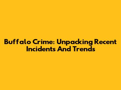 Buffalo Crime: Unpacking Recent Incidents And Trends