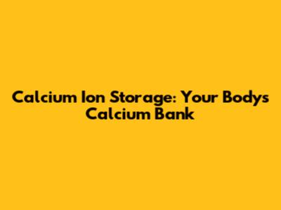Calcium Ion Storage: Your Body's Calcium Bank