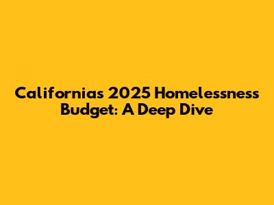 California's 2025 Homelessness Budget: A Deep Dive