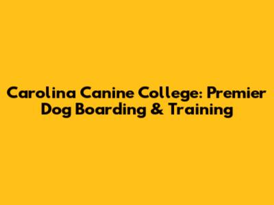 Carolina Canine College: Premier Dog Boarding & Training