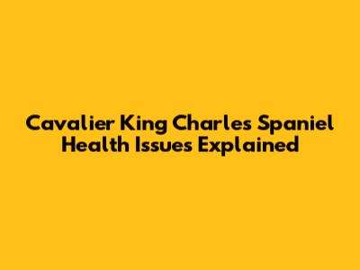 Cavalier King Charles Spaniel Health Issues Explained