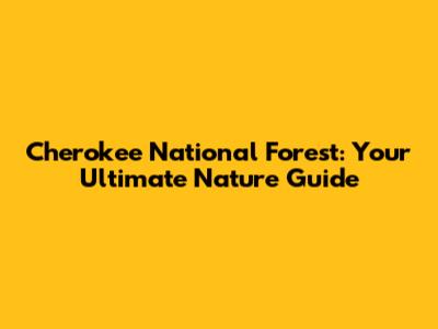 Cherokee National Forest: Your Ultimate Nature Guide