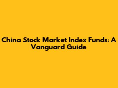 China Stock Market Index Funds: A Vanguard Guide