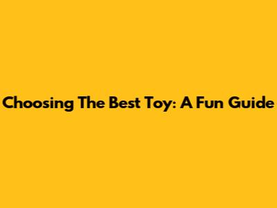 Choosing The Best Toy: A Fun Guide