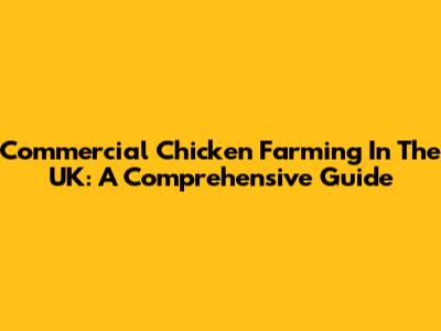 Commercial Chicken Farming In The UK: A Comprehensive Guide