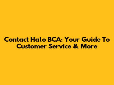 Contact Halo BCA: Your Guide To Customer Service & More