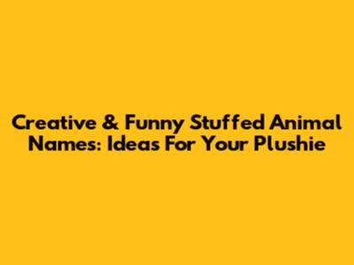 Creative & Funny Stuffed Animal Names: Ideas For Your Plushie