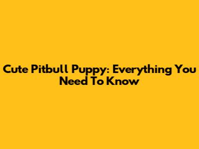 Cute Pitbull Puppy: Everything You Need To Know