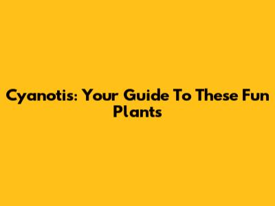 Cyanotis: Your Guide To These Fun Plants