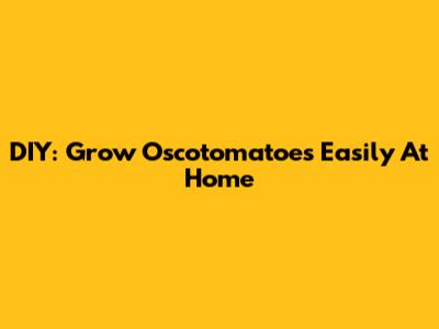 DIY: Grow Oscotomatoes Easily At Home