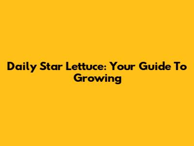 Daily Star Lettuce: Your Guide To Growing