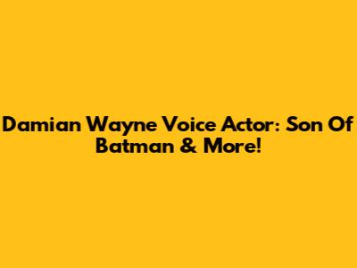 Damian Wayne Voice Actor: Son Of Batman & More!