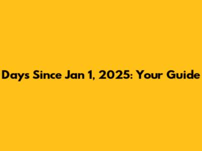 Days Since Jan 1, 2025: Your Guide