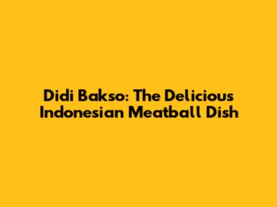 Didi Bakso: The Delicious Indonesian Meatball Dish