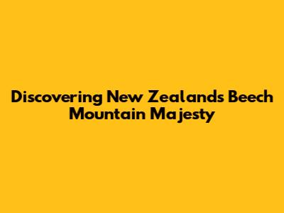 Discovering New Zealand's Beech Mountain Majesty