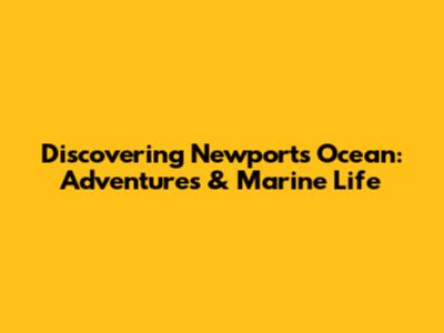 Discovering Newport's Ocean: Adventures & Marine Life