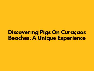 Discovering Pigs On Curaçao's Beaches: A Unique Experience