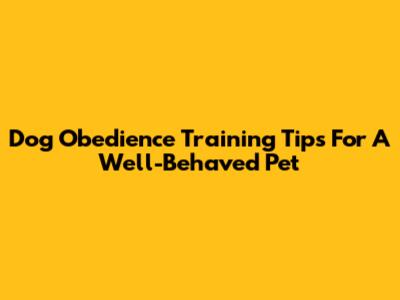 Dog Obedience Training Tips For A Well-Behaved Pet