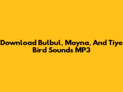 Download Bulbul, Moyna, And Tiye Bird Sounds MP3