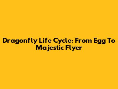 Dragonfly Life Cycle: From Egg To Majestic Flyer