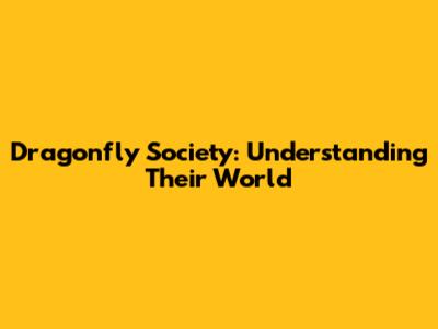 Dragonfly Society: Understanding Their World
