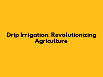 Drip Irrigation: Revolutionizing Agriculture