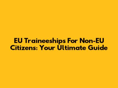 EU Traineeships For Non-EU Citizens: Your Ultimate Guide