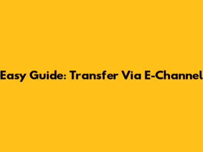 Easy Guide: Transfer Via E-Channel