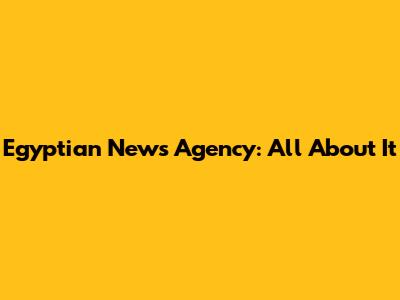 Egyptian News Agency: All About It