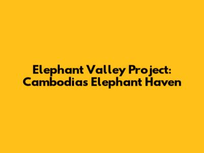 Elephant Valley Project: Cambodia's Elephant Haven
