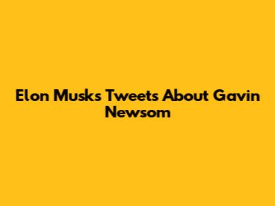 Elon Musk's Tweets About Gavin Newsom