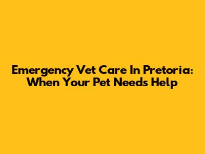 Emergency Vet Care In Pretoria: When Your Pet Needs Help